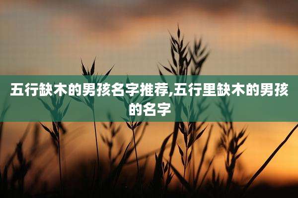 五行缺木的男孩名字推荐,五行里缺木的男孩的名字