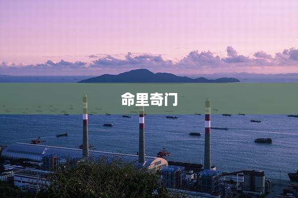命里奇门