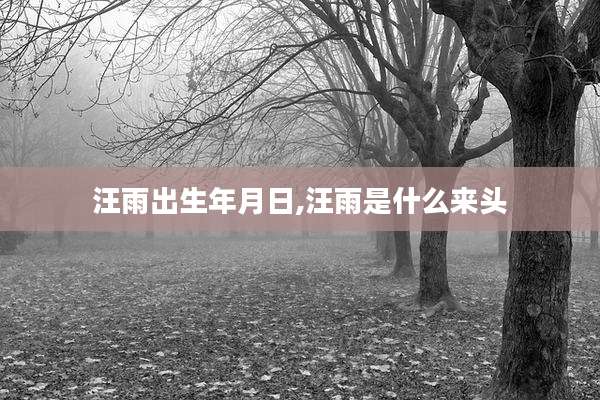 汪雨出生年月日,汪雨是什么来头