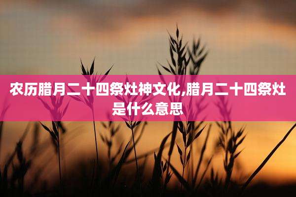 农历腊月二十四祭灶神文化,腊月二十四祭灶是什么意思