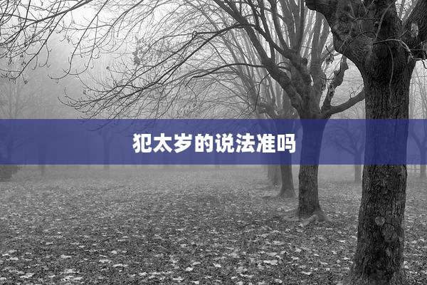 犯太岁的说法准吗