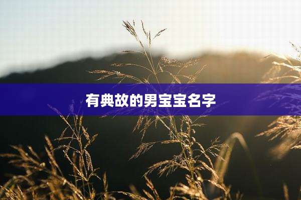有典故的男宝宝名字