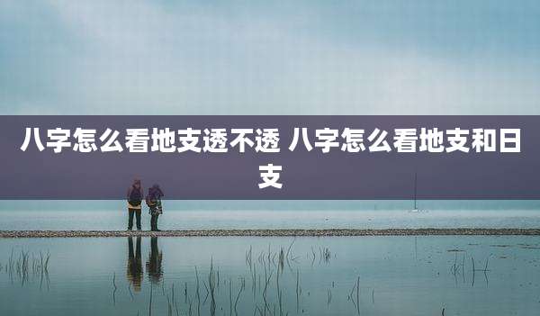 八字怎么看地支透不透 八字怎么看地支和日支