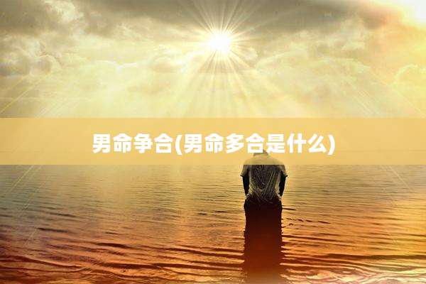 男命争合(男命多合是什么)