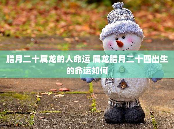 腊月二十属龙的人命运 属龙腊月二十四出生的命运如何