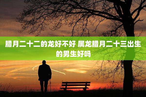 腊月二十二的龙好不好 属龙腊月二十三出生的男生好吗