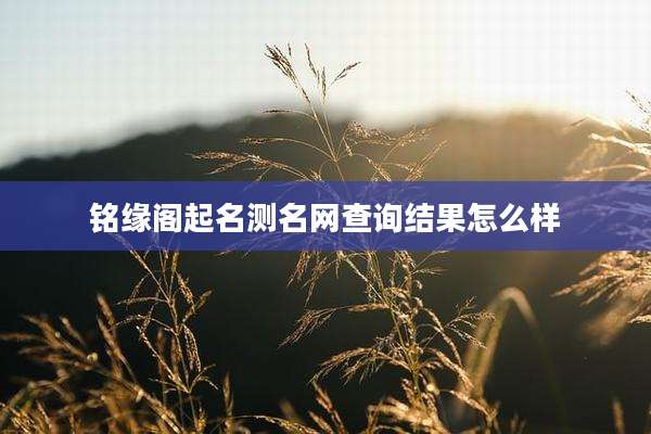 铭缘阁起名测名网查询结果怎么样