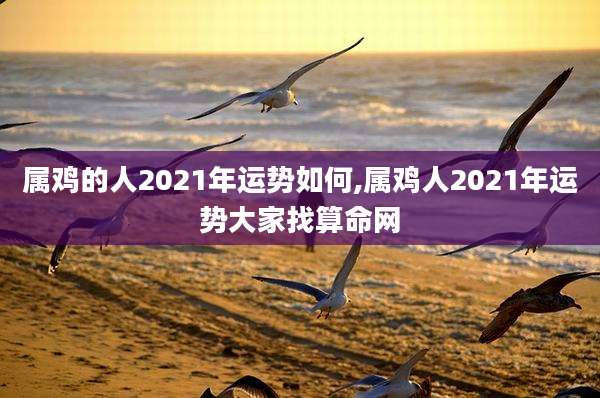 属鸡的人2021年运势如何,属鸡人2021年运势大家找算命网