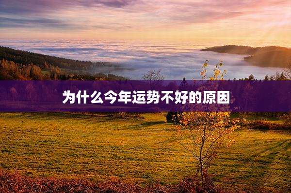 为什么今年运势不好的原因
