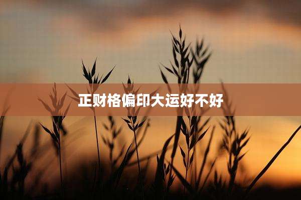 正财格偏印大运好不好