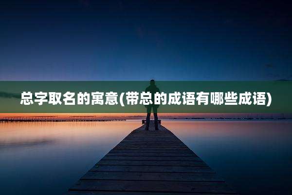 总字取名的寓意(带总的成语有哪些成语)