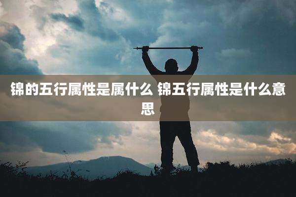 锦的五行属性是属什么 锦五行属性是什么意思