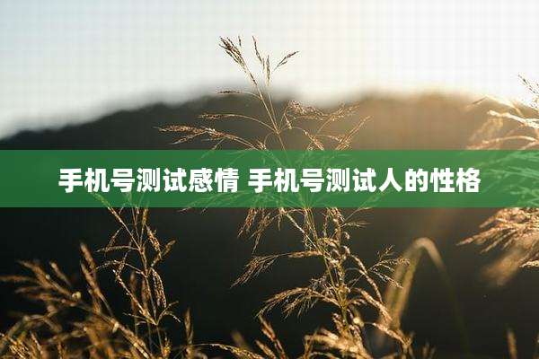 手机号测试感情 手机号测试人的性格