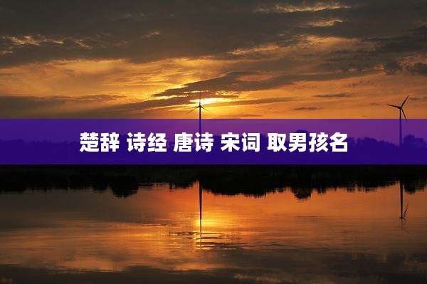 楚辞 诗经 唐诗 宋词 取男孩名
