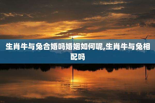 生肖牛与兔合婚吗婚姻如何呢,生肖牛与兔相配吗