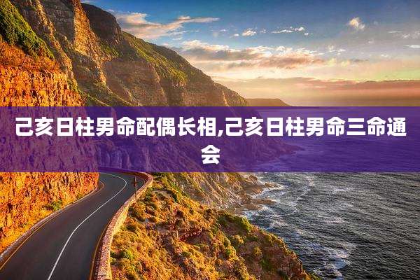 己亥日柱男命配偶长相,己亥日柱男命三命通会