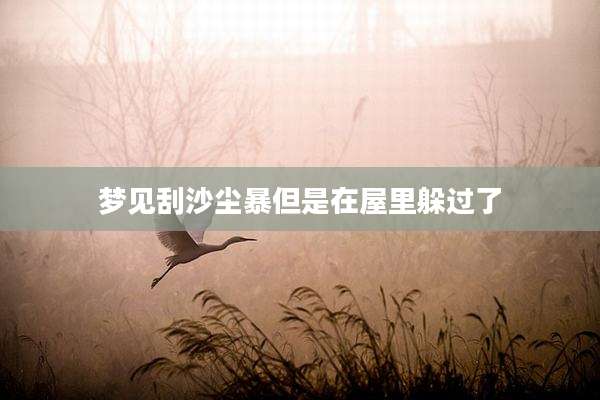 梦见刮沙尘暴但是在屋里躲过了