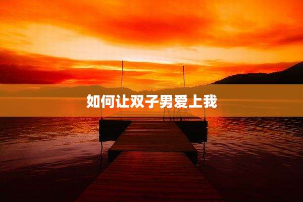 如何让双子男爱上我