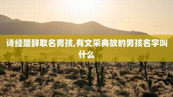 诗经楚辞取名男孩,有文采典故的男孩名字叫什么