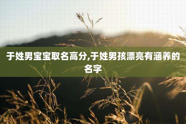 于姓男宝宝取名高分,于姓男孩漂亮有涵养的名字