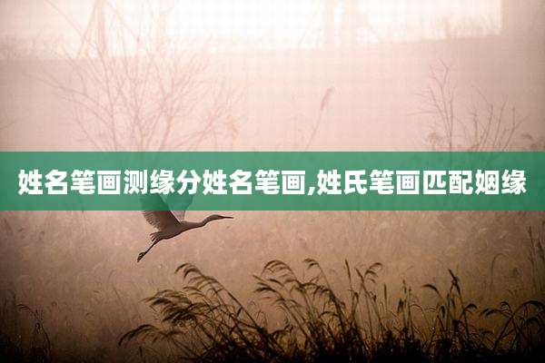 姓名笔画测缘分姓名笔画,姓氏笔画匹配姻缘