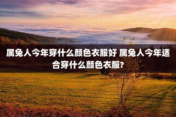 属兔人今年穿什么颜色衣服好 属兔人今年适合穿什么颜色衣服?