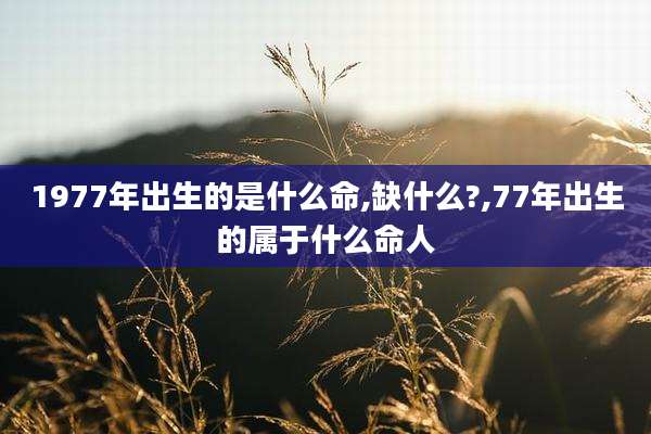 1977年出生的是什么命,缺什么?,77年出生的属于什么命人