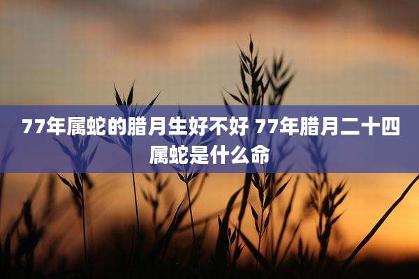 77年属蛇的腊月生好不好 77年腊月二十四属蛇是什么命