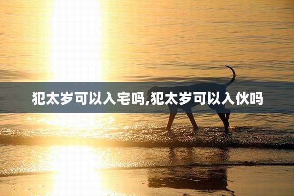 犯太岁可以入宅吗,犯太岁可以入伙吗