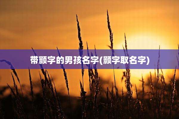 带颢字的男孩名字(颢字取名字)