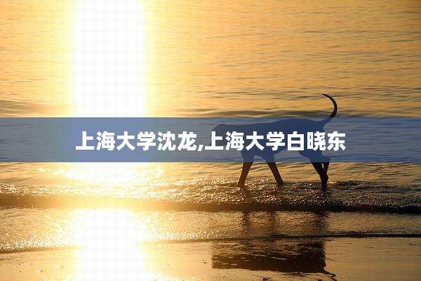 上海大学沈龙,上海大学白晓东