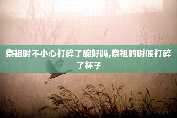 祭祖时不小心打碎了碗好吗,祭祖的时候打碎了杯子