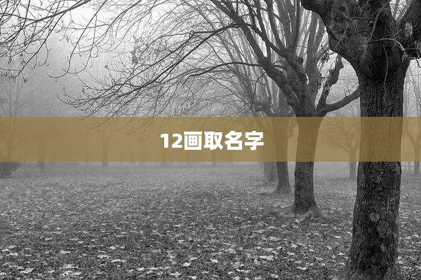 12画取名字