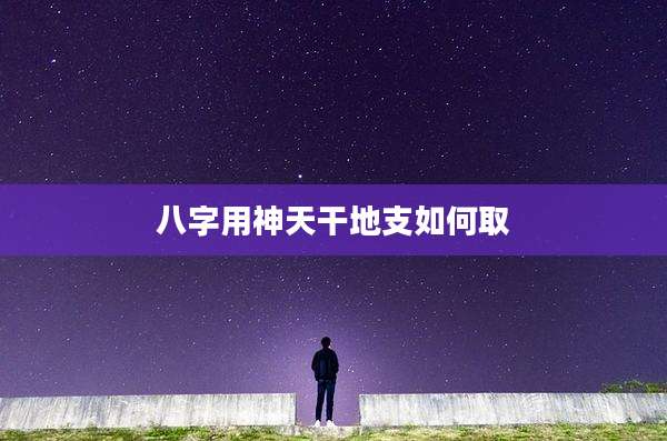 八字用神天干地支如何取