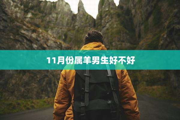 11月份属羊男生好不好