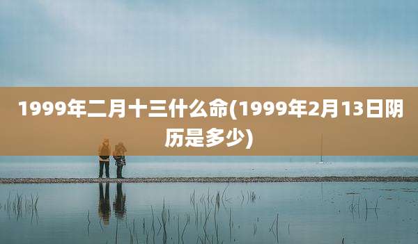 1999年二月十三什么命(1999年2月13日阴历是多少)