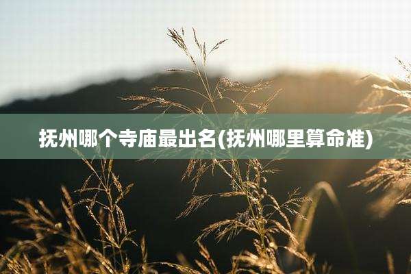 抚州哪个寺庙最出名(抚州哪里算命准)