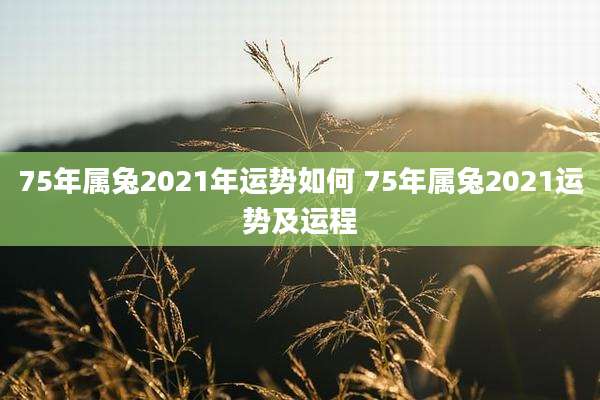 75年属兔2021年运势如何 75年属兔2021运势及运程