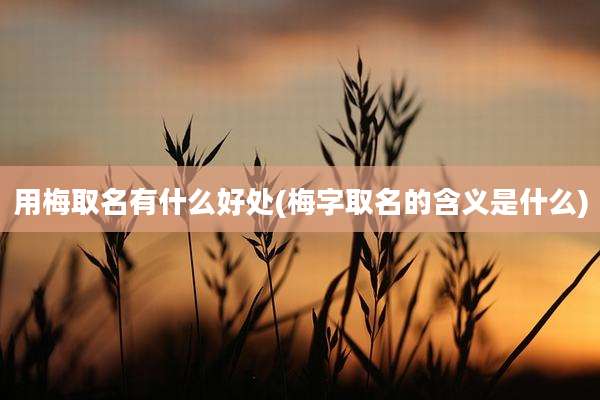 用梅取名有什么好处(梅字取名的含义是什么)