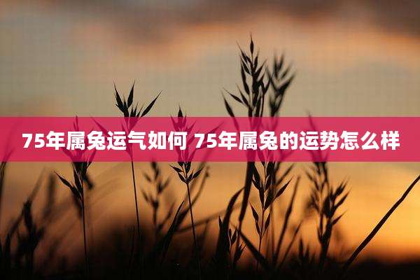 75年属兔运气如何 75年属兔的运势怎么样