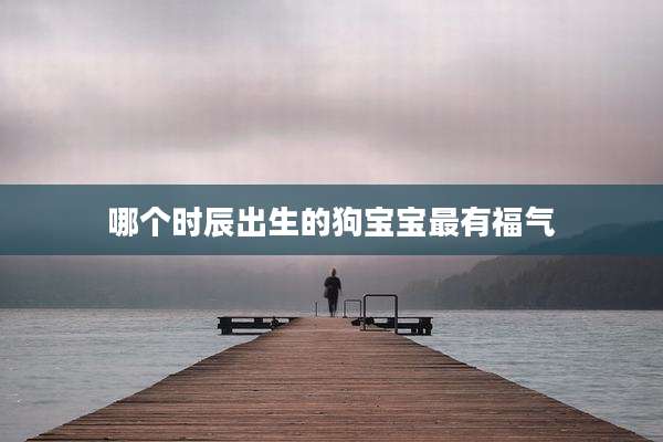 哪个时辰出生的狗宝宝最有福气