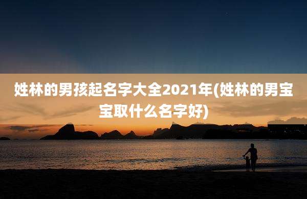 姓林的男孩起名字大全2021年(姓林的男宝宝取什么名字好)