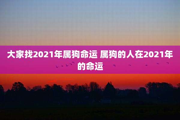 大家找2021年属狗命运 属狗的人在2021年的命运