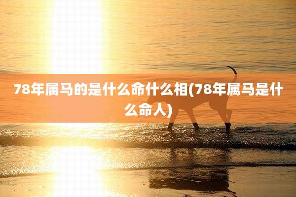 78年属马的是什么命什么相(78年属马是什么命人)