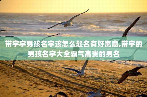 带宇字男孩名字该怎么起名有好寓意,带宇的男孩名字大全霸气高贵的男名
