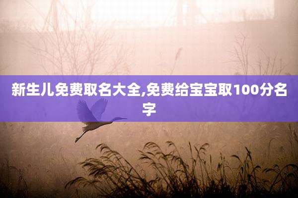 新生儿免费取名大全,免费给宝宝取100分名字