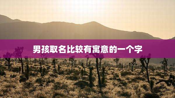 男孩取名比较有寓意的一个字