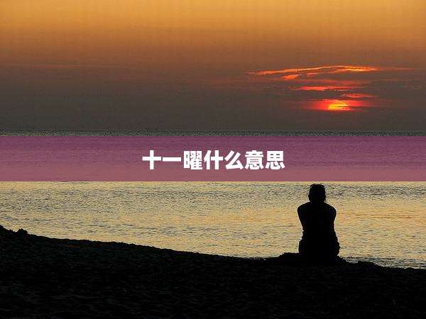 十一曜什么意思