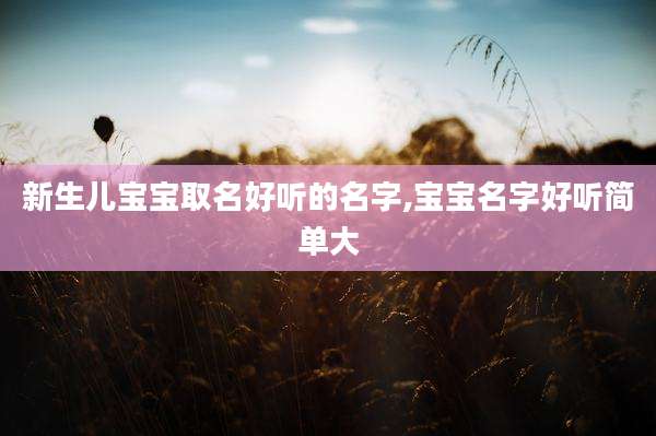 新生儿宝宝取名好听的名字,宝宝名字好听简单大