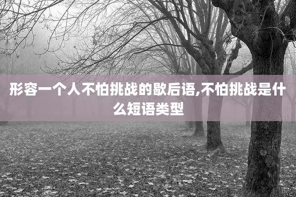 形容一个人不怕挑战的歇后语,不怕挑战是什么短语类型